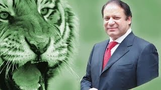 pmln songs mp3 free download